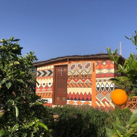 Afrikan Krisant Tenerife, Casa Rural Ecologica Arafo 외부 사진