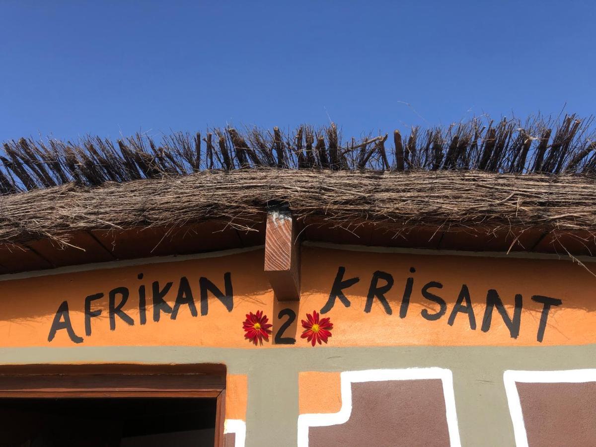 Afrikan Krisant Tenerife, Casa Rural Ecologica Arafo 외부 사진
