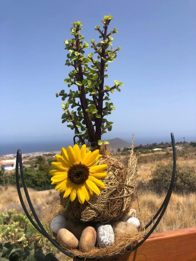 Afrikan Krisant Tenerife, Casa Rural Ecologica Arafo 외부 사진
