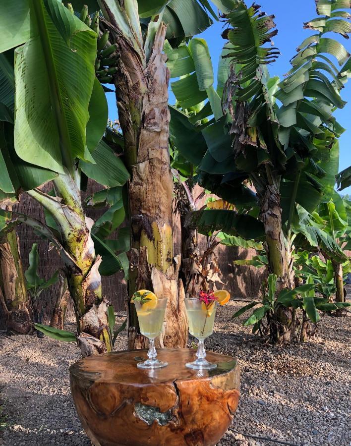 Afrikan Krisant Tenerife, Casa Rural Ecologica Arafo 외부 사진
