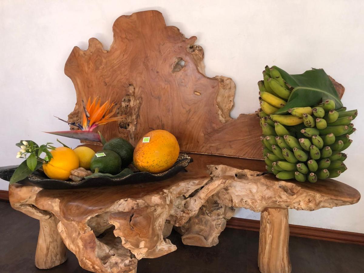 Afrikan Krisant Tenerife, Casa Rural Ecologica Arafo 외부 사진