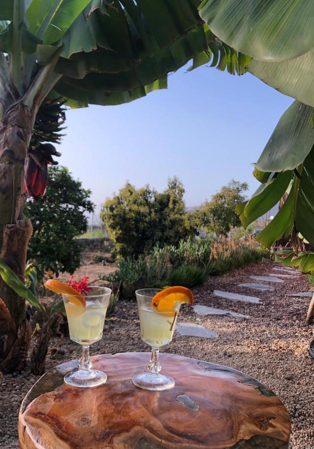Afrikan Krisant Tenerife, Casa Rural Ecologica Arafo 외부 사진