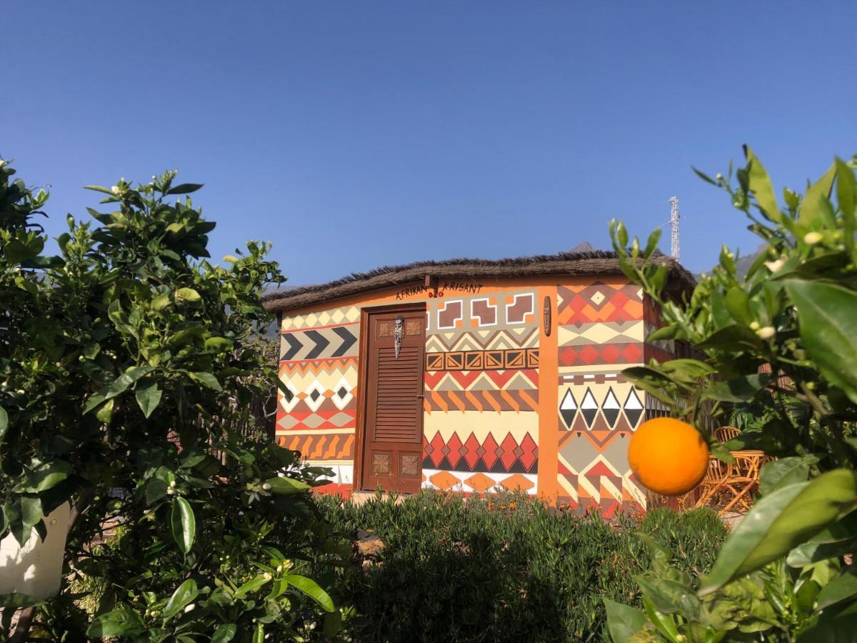 Afrikan Krisant Tenerife, Casa Rural Ecologica Arafo 외부 사진
