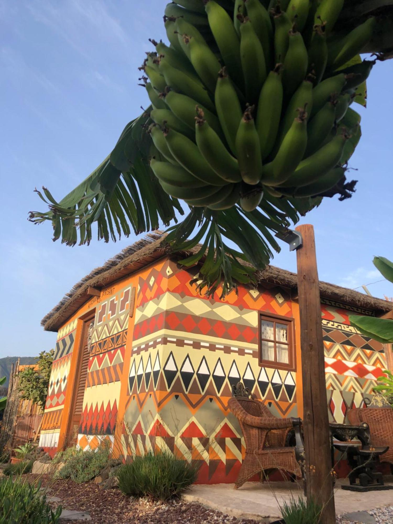 Afrikan Krisant Tenerife, Casa Rural Ecologica Arafo 외부 사진