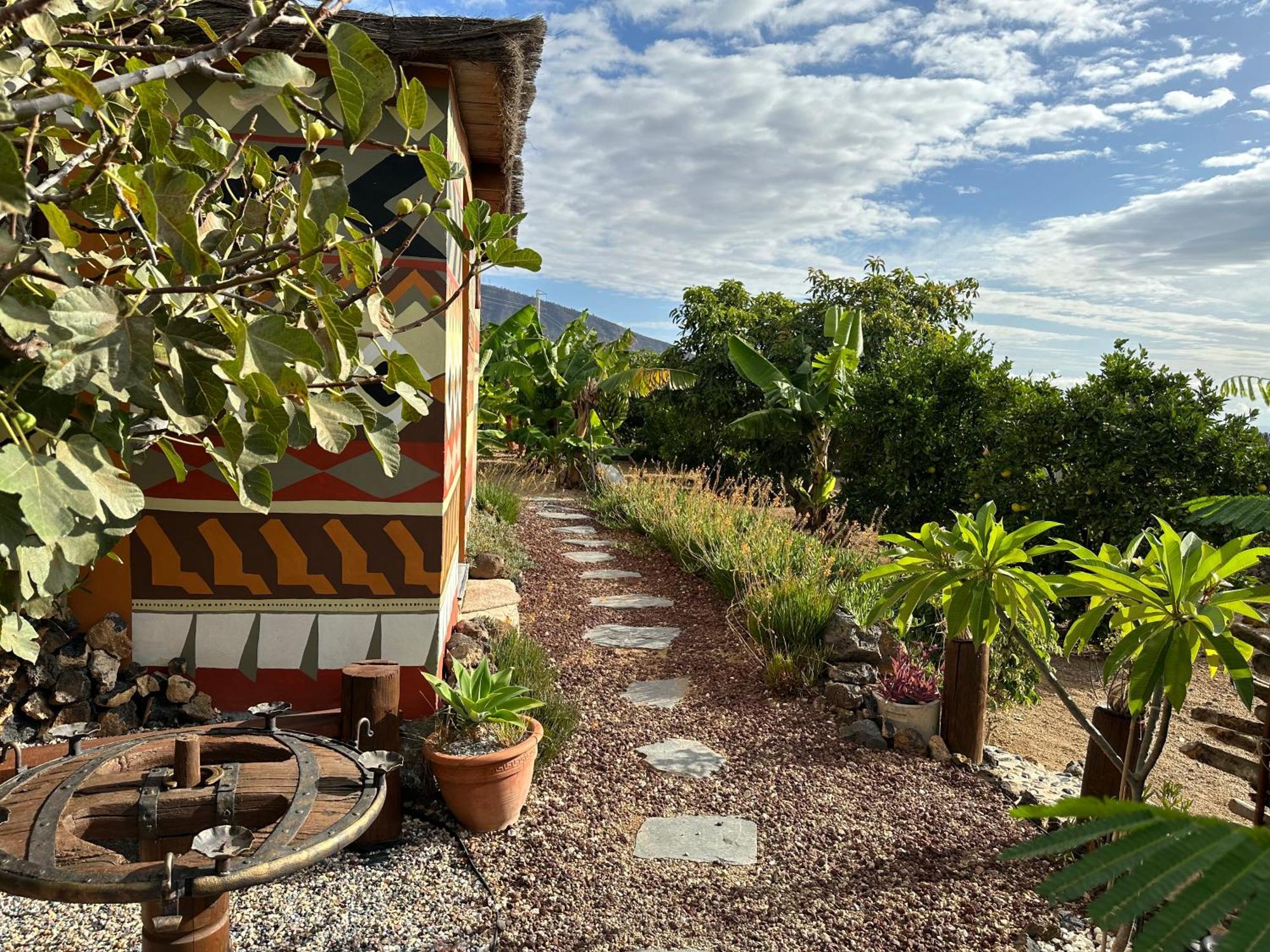 Afrikan Krisant Tenerife, Casa Rural Ecologica Arafo 외부 사진